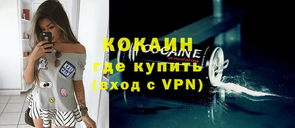 крисы Магас