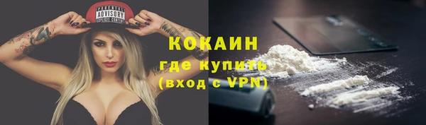 индика Чита