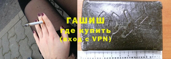 крисы Магас