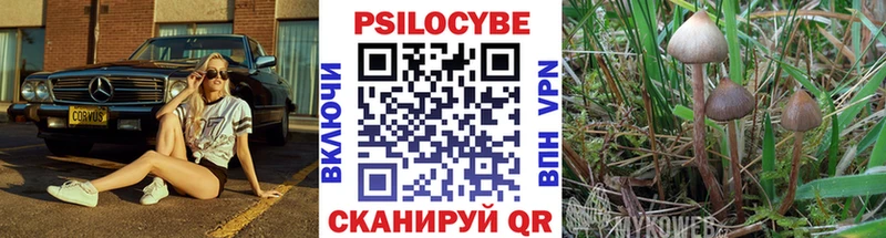 omg маркетплейс  Саранск  даркнет телеграм  купить  сайты  Псилоцибиновые грибы Psilocybe 