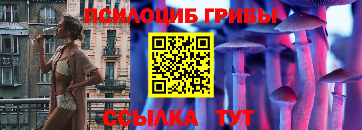 Псилоцибиновые грибы MAGIC MUSHROOMS Саранск