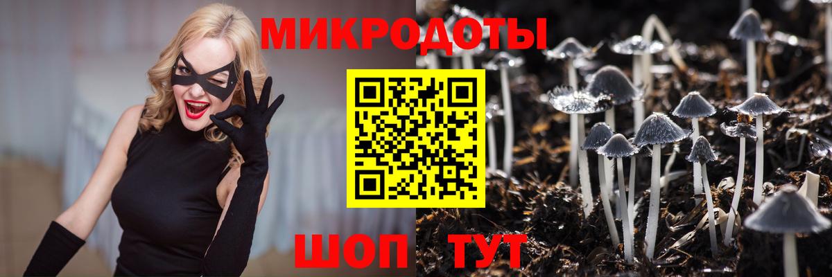 Галлюциногенные грибы GOLDEN TEACHER Саранск