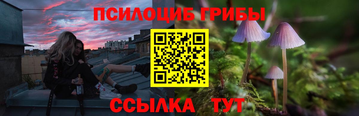 Саранск  Галлюциногенные грибы Psilocybe  Вход с VPN 